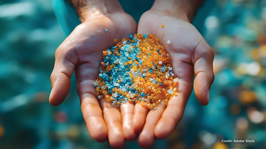 4-Feb-18-2026-08-21-39-0130-PM